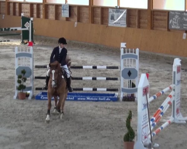 Springturnier Xanten 2016