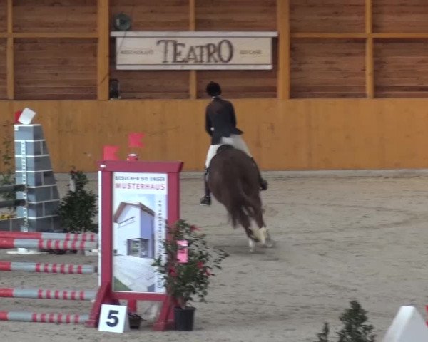 Springturnier Xanten 2016
