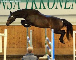 Zuchtstute Expensive (Finnisches Warmblut, 2006, von Riant 116 FIN)