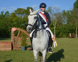 jumper Casablanca (German Riding Pony, 2010, from Casino Royale K WE)