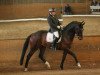 dressage horse Le Dentiste Carlito (Westphalian, 2005, from Collin L)