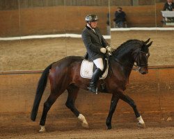 dressage horse Le Dentiste Carlito (Westphalian, 2005, from Collin L)