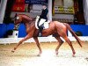 dressage horse Sir Neuseriem (Hanoverian, 2013, from Spörcken)