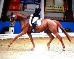 dressage horse Sir Neuseriem (Hanoverian, 2013, from Spörcken)