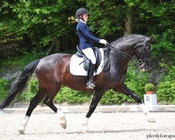 dressage horse Rubin Noir 10 (Hanoverian, 2006, from Rascalino)