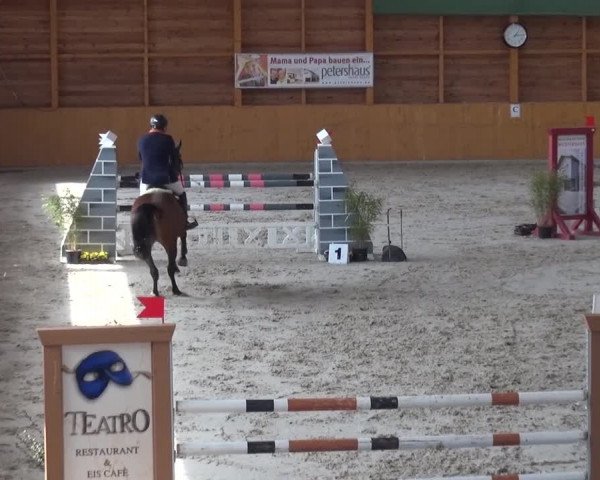 Springturnier Xanten 2016