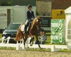 jumper Rieemaars Dian Fossey (Deutsches Reitpony, 2015, from Halifax)