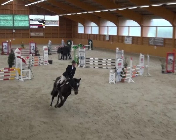 Springturnier Xanten 2016