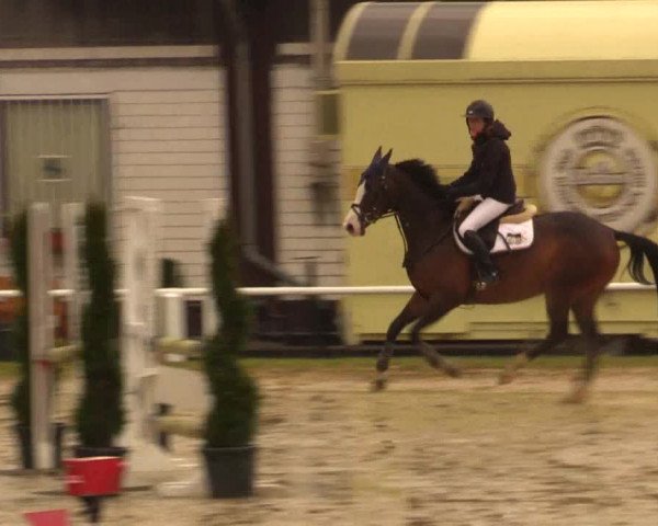 Reitturnier Bottrop 2016