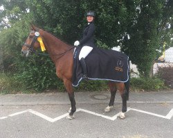 dressage horse First Passion (Oldenburg, 2005, from Fulminant)