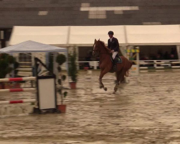Reitturnier Bottrop 2016