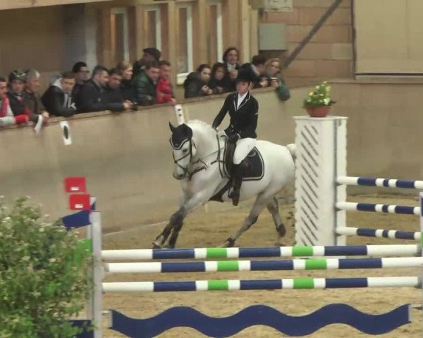 Hallenspringturnier Friedrichshafen-Ailingen 2016