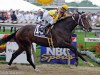 Zuchtstute Rachel Alexandra xx (Englisches Vollblut, 2006, von Medaglia d'Oro xx)