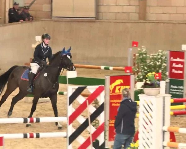 Hallenspringturnier Friedrichshafen-Ailingen 2016