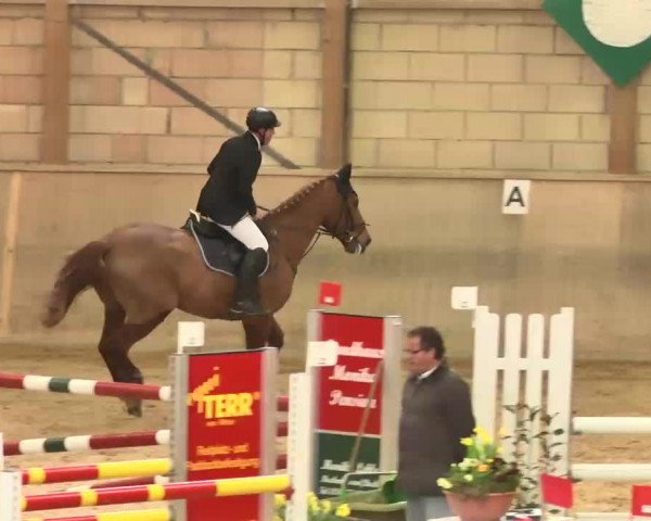 Hallenspringturnier Friedrichshafen-Ailingen 2016