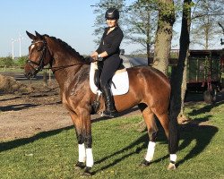 dressage horse Bynona GH (Oldenburg, 2016, from Buenos Dias 6)