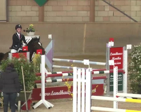 Hallenspringturnier Friedrichshafen-Ailingen 2016