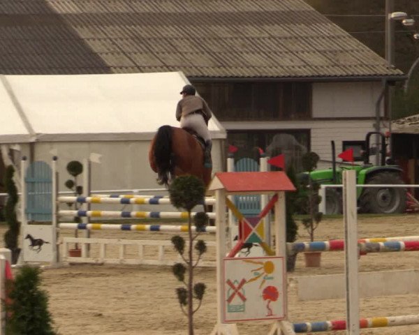 Reitturnier Bottrop 2016