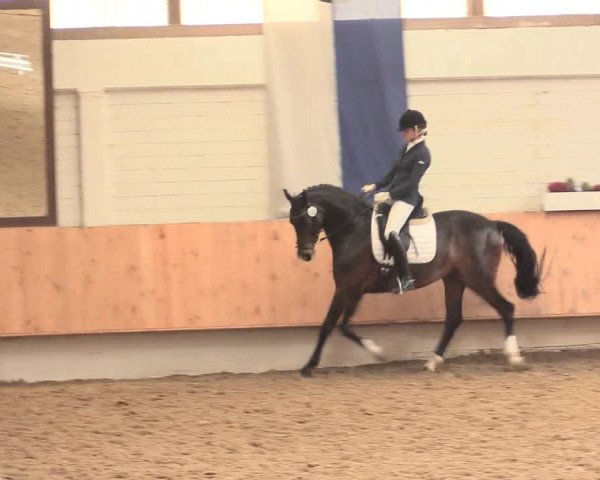 Reitturnier Bottrop 2016