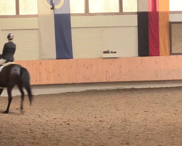 Reitturnier Bottrop 2016