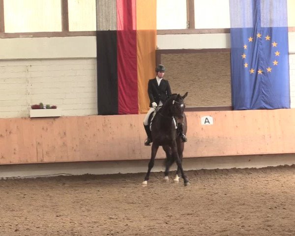 Reitturnier Bottrop 2016