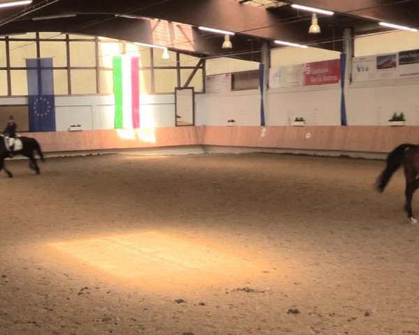 Reitturnier Bottrop 2016