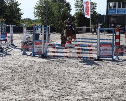 dressage horse Nawajo (German Riding Pony, 2005, from Topnatrejo)