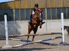 jumper Dame de Coeur 2 (German Riding Pony, 2008, from Donauwind)