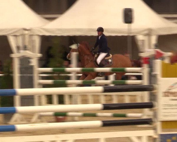 Reitturnier Bottrop 2016