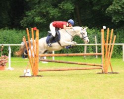 jumper Pascha 732 (German Riding Pony, 2003, from Pamir ox)