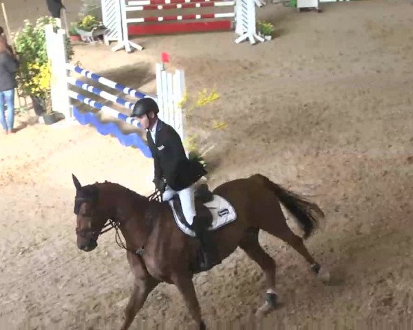 Hallenspringturnier Friedrichshafen-Ailingen 2016