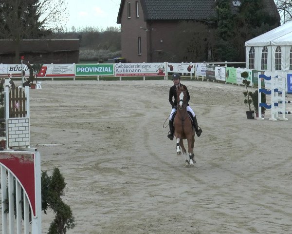 Lenklarer Reitertage 2016