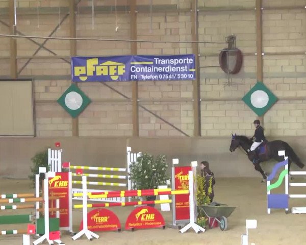 Hallenspringturnier Friedrichshafen-Ailingen 2016