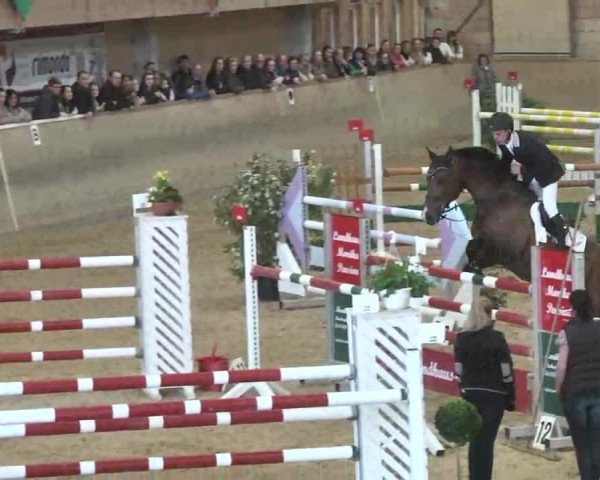 Hallenspringturnier Friedrichshafen-Ailingen 2016
