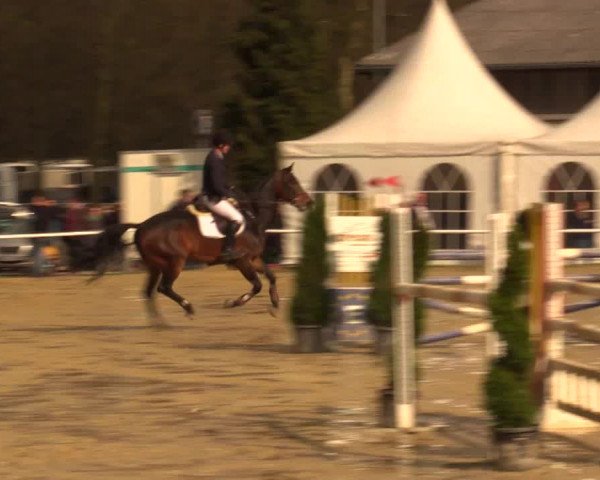 Reitturnier Bottrop 2016