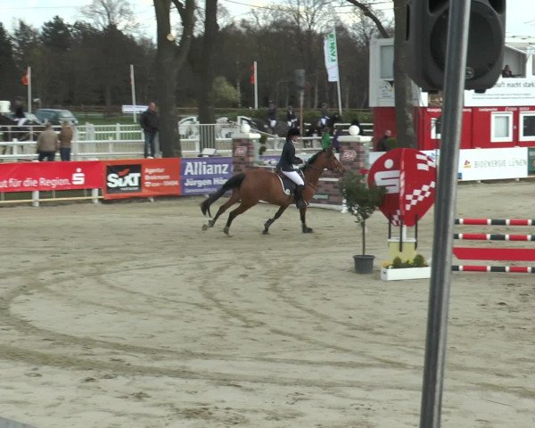 Lenklarer Reitertage 2016