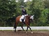 dressage horse Itschi 8 (unknown, 2012)