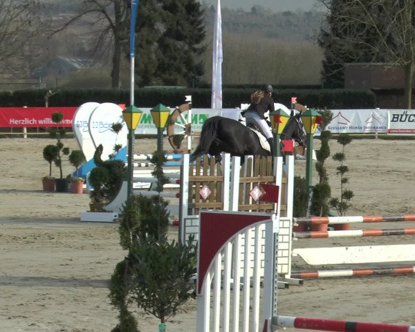 Lenklarer Reitertage 2016