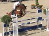 jumper Onawa vom Wellberg CH (Swiss Warmblood, 2013, from Ogano Sitte)