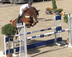 jumper Onawa vom Wellberg CH (Swiss Warmblood, 2013, from Ogano Sitte)