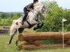 jumper Salio 5 (Slovenian Warmblood, 2008, from Lady's Lower Junior)