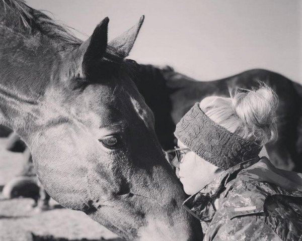 broodmare Danseuse (Westphalian, 2003, from De Niro)