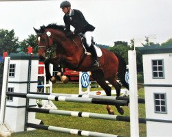 Zuchtstute Candy Rose (Hessisches Warmblut, 2002, von Condor)