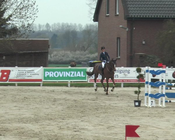 Lenklarer Reitertage 2016
