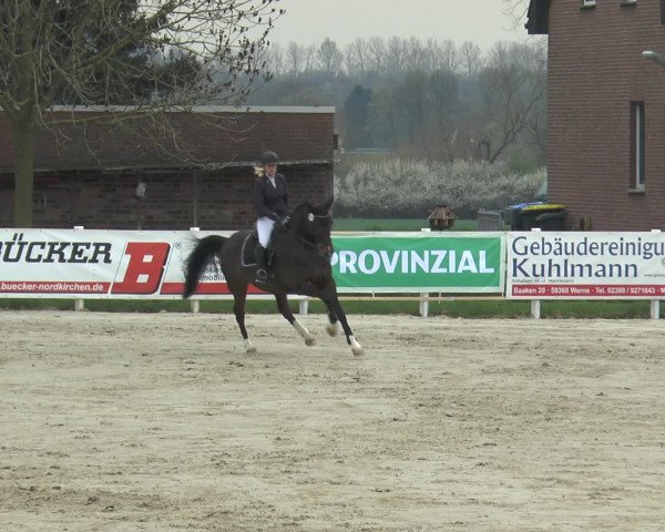Lenklarer Reitertage 2016