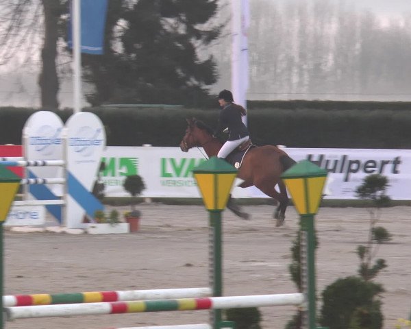 Lenklarer Reitertage 2016