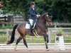 dressage horse Finlay 32 (Hanoverian, 2014, from Foundation 2)