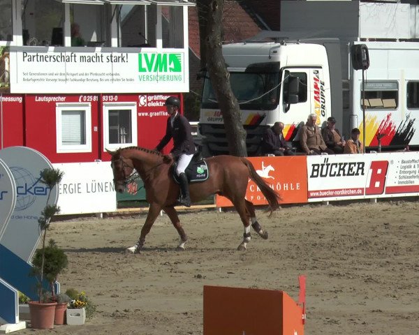 Lenklarer Reitertage 2016