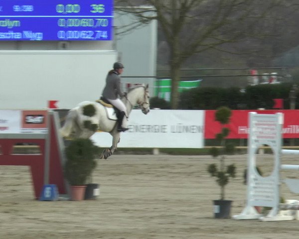 Lenklarer Reitertage 2016