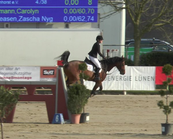 Lenklarer Reitertage 2016